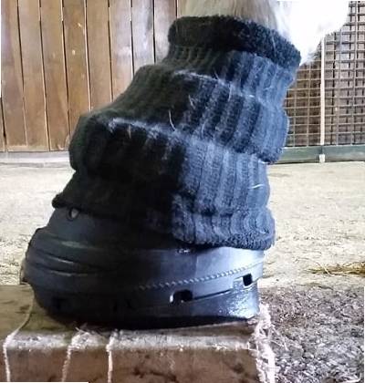 easy cloud horse boots