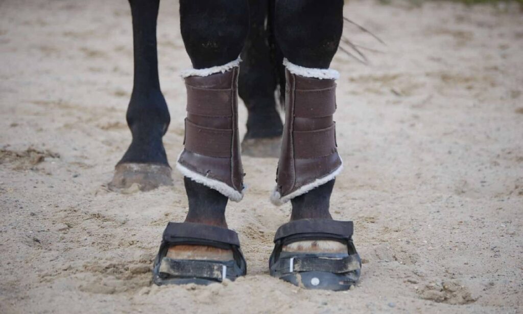 horse cloud boots